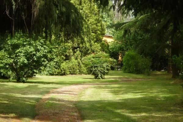 Tenuta Le Risare Bed & Breakfast Campo San Martino Eksteriør bilde